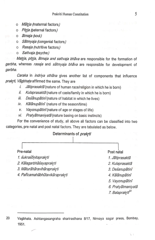 Prakriti Human Constitution
